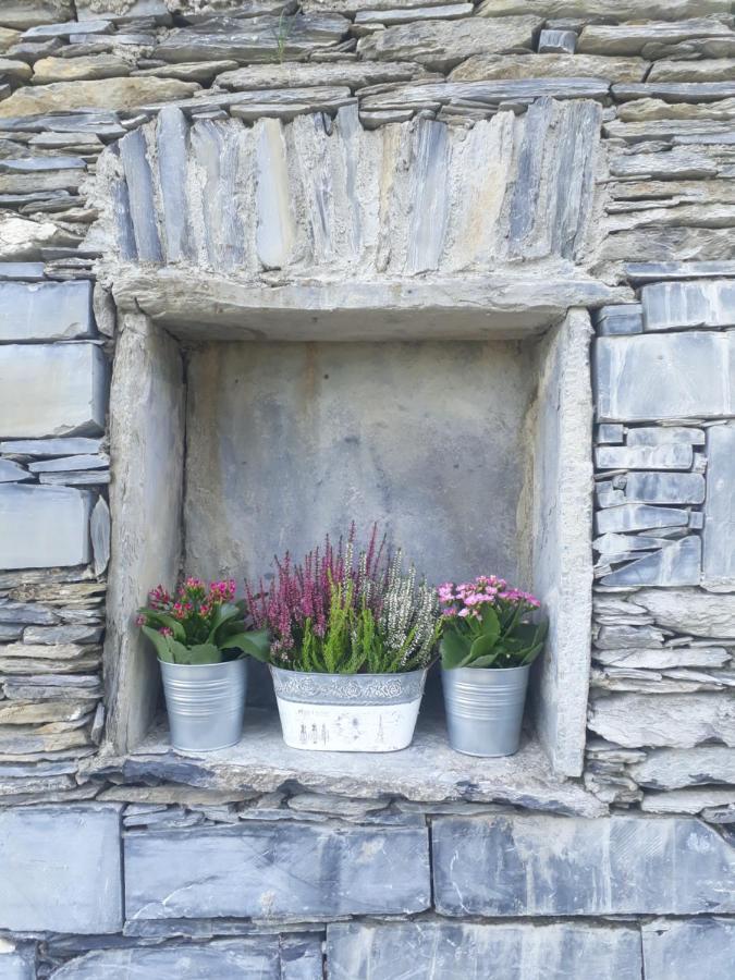 Ca' Da Tollo Hotel Cogorno Exterior photo